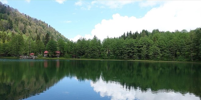 'Saklı cennet' Artvin eşsiz doğasıyla ziyaretçilerini bekliyor