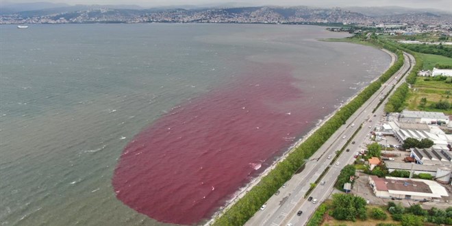 İzmit Körfezi'ni kırmızıya bürüyen firmanın kapısına mühür vuruldu