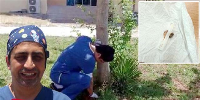 Doktor, oğlunun göbek bağını hastane bahçesine gömdü