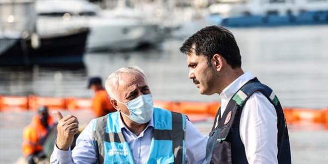 Bakan Kurum açıkladı: Marmara'da nerelerde yüzülebilecek?