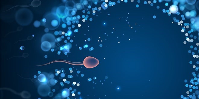 BioNTech aşısı kısırlık yapıyor mu?