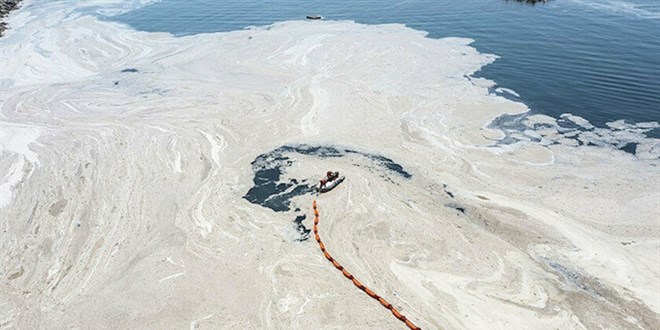 Müsilajı bitirecek yöntem: Dört bin tekne ile iki yılda yok edilecek