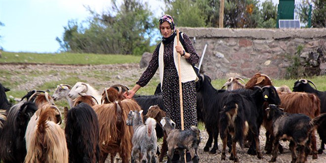 'Köylü kızı Nurgül'ün takipçi sayısı 100 bine yaklaştı