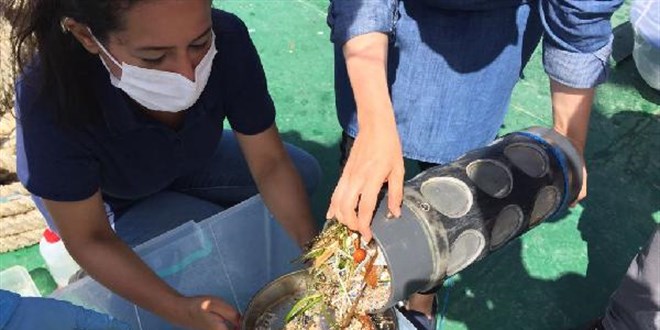 Akademisyenler boğazdaki plastik tehlikesini ortaya çıkardı