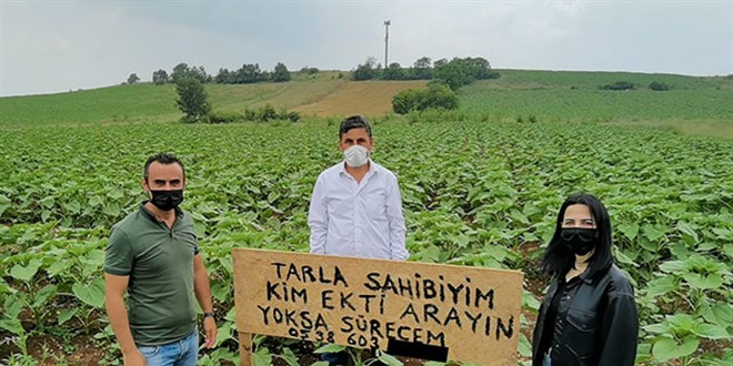 İzinsiz ekim yapan kişiyi tarlasına diktiği tabelayla arıyor