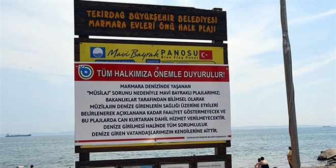 Mavi bayrakl plajlarda 'msilaj' nedeniyle denize girilemeyecek