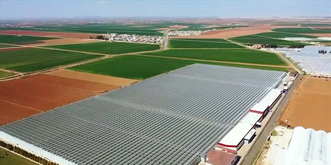 'GAP'ın başkenti'nde jeotermal enerjili sera atağı