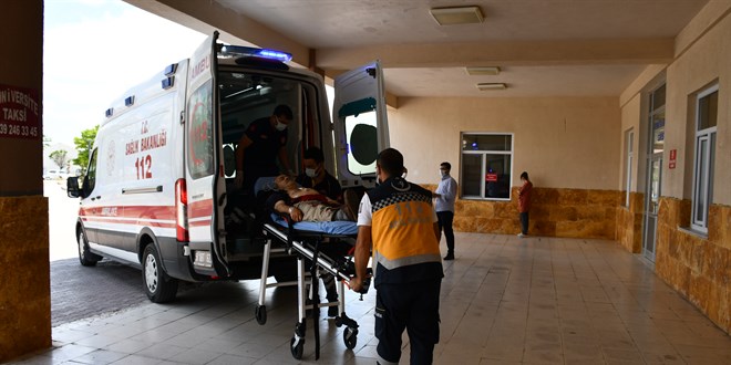 mam, kstebekler iin tuzak kurduu srada yaraland