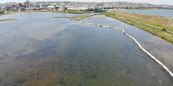 Kirlilik nedeniyle Bykekmece Gl'nn rengi deiti