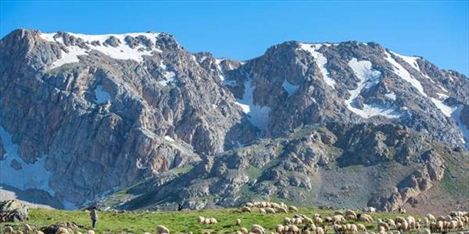 3 bin 500 rakımlı 'Elmalı Yaylası' doğal güzellikleriyle göz kamaştırıyor