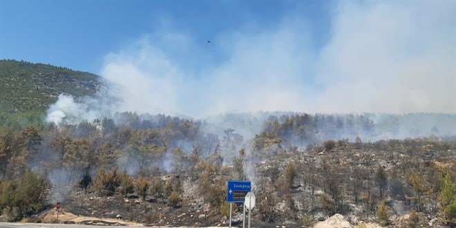 Antalya'da orman yangını çıktı, karayolu ulaşıma kapatıldı