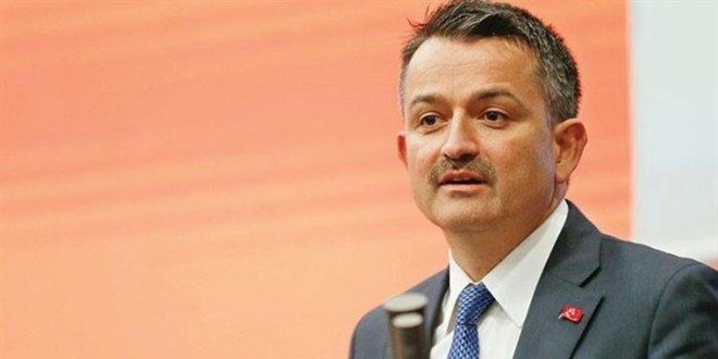 Bakan Pakdemirli'den fındık alımına ilişkin açıklama
