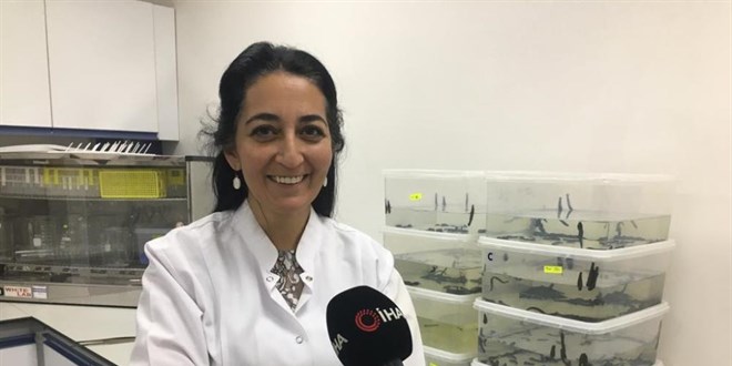 ERÜ'de yerli kanser ilacında da faz çalışmaları başlayacak
