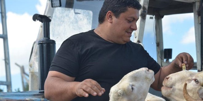 7 bin lira maa brakt, kynde obanla balad