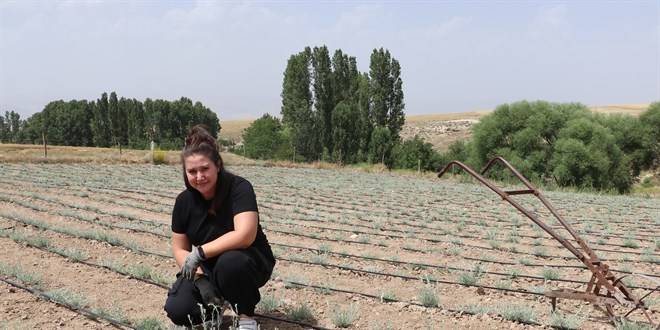 Banka'daki görevinden istifai etti, çiftçilik yapıyor