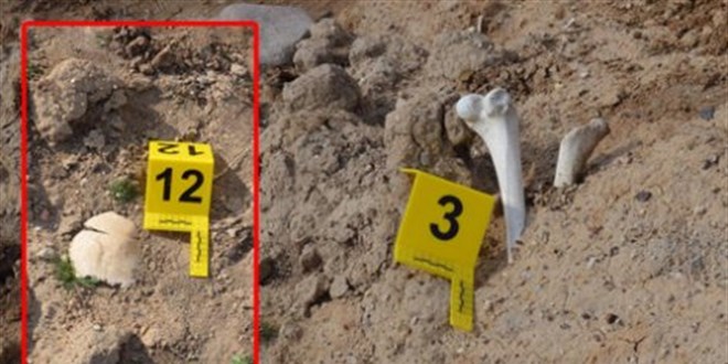 Hatay'da askeri yasak blgede insan kemikleri bulundu