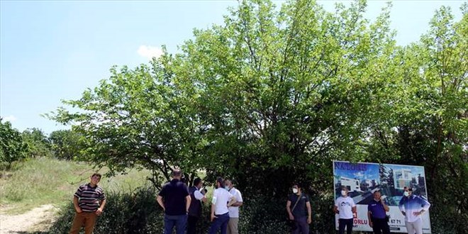 Bursa'da ormanlık alanda bebek cesedi bulundu
