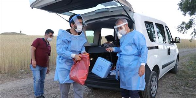 Sağlıkçılar, ormanlık alanda mangal kömürü üreten işçilere Kovid-19 aşısı yaptı
