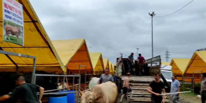 İstanbul'da kurban satışları başladı