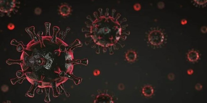 'Delta' bitmeden yenisi geldi: Lambda varyantı