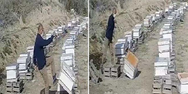 'Kızımı tayin için kullandı' dedi, damadın arı kovanlarını parçaladı