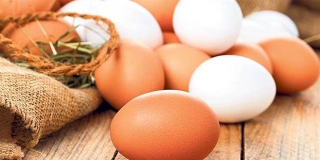 Afyon'da 27 yumurta reticisinden 15'i iflas etti