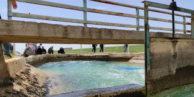 Şanlıurfa'da sulama kanalına düşen genç akıntıya kapıldı