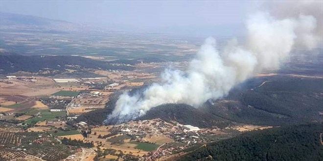 İzmir'de çıkan orman yangınına müdahale ediliyor