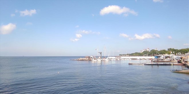 Marmara'da balıklar görünmeye başladı