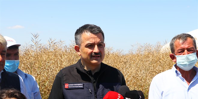 'Kanola tohumunun yüzde 50'sini biz karşılayacağız'