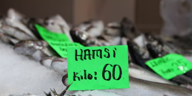Hamsinin kilosu 60 liradan satılıyor
