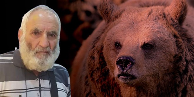 Arazide ölü bulundu, ayı saldırısına uğradığı anlaşıldı