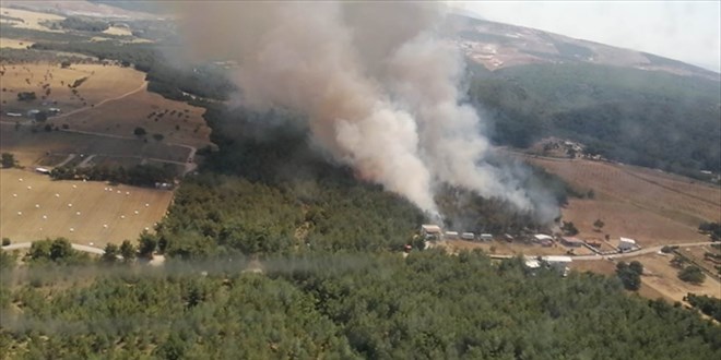 İzmir'in Bornova ilçesinde çıkan orman yangını kontrol altına alındı