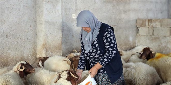 'Kadınsın yapamazsın' dediler, kendi çiftliğini kurdu