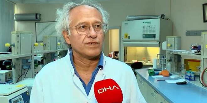 İstanbul'daki tehlike 'Asya Kaplan Sivrisineği'