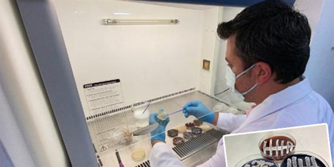 Türk bilim adamları, 6 ülkede 60 yeni tür bakteri keşfetti