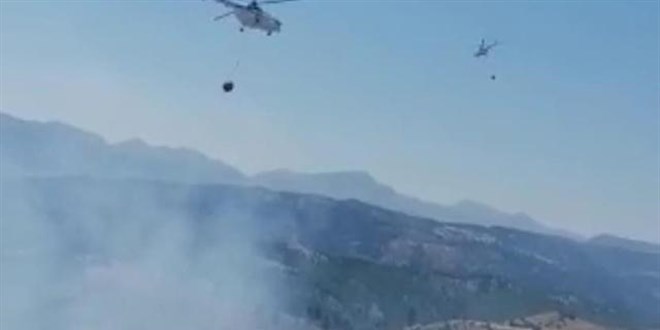 Kahramanmaraş'ta orman yangını: Bazı evler tehdit altında
