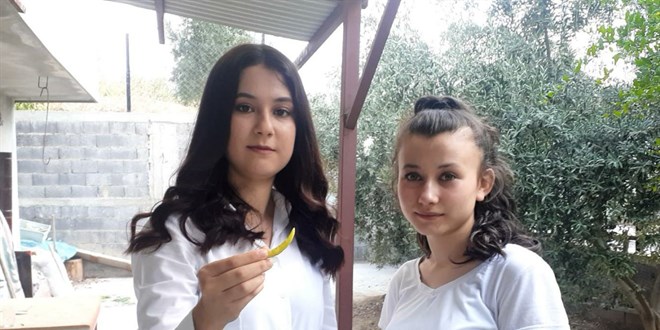 Üniversiteli genç kız, kekik aromalı acı biber yetiştirdi