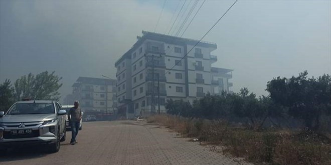 Osmaniye'deki orman yangını ile ilgili 4 gözaltı