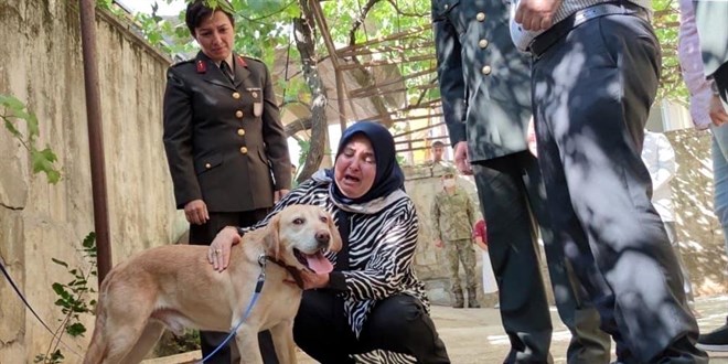 Şehit onbaşının 'gazi köpeği' ailesine sahiplendirildi