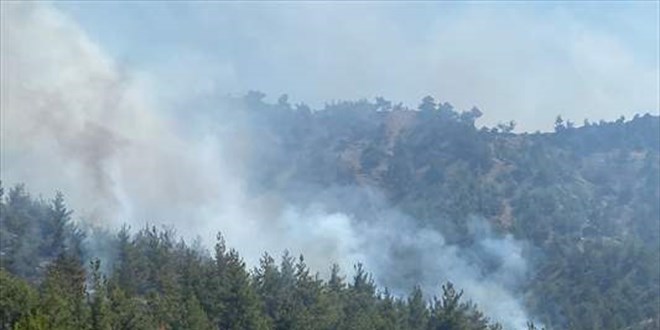 Kahramanmara'ta kan orman yangn kontrol altna alnd