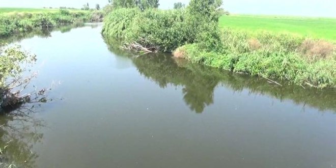 Gnen ay'nn rengi siyaha brnd