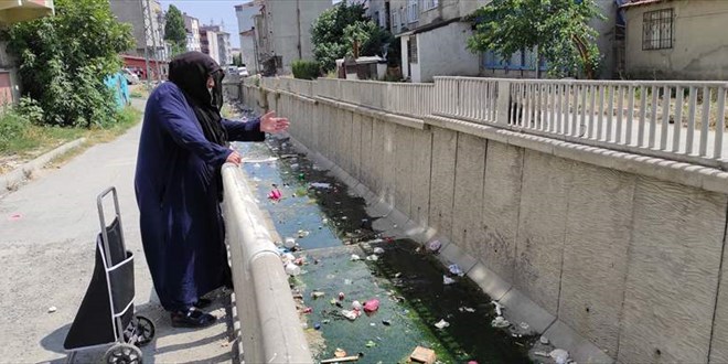 Sivrisinek kabusu sürüyor! İstanbul'un farklı ilçelerinde de görülmeye başladı