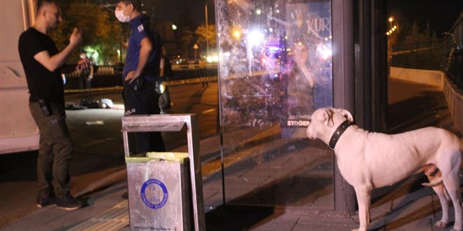 Köpeğini gezdirmeye çıktı, canından oldu