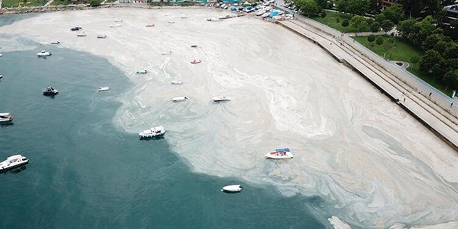 ODTÜ: Yeni bir müsilaj patlaması beklemiyoruz