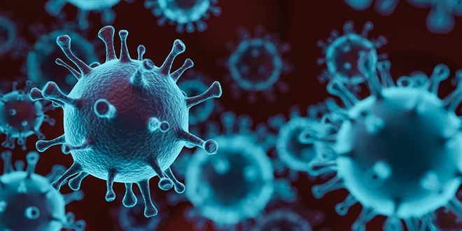 Bilim insanları binlerce yıllık buzda 28 yeni virüs keşfetti