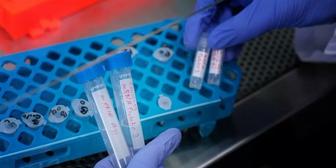 BioNTech ile Astrazeneca'nın birleşimi, antikoru 6 kat artırıyor