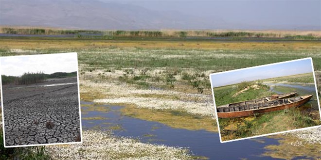 Eber G�l� pi�manl���: T�kenmez sand�k, canl�ym�� bilemedik