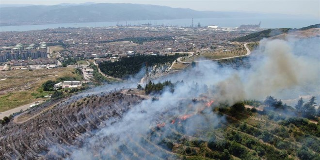Kocaeli'deki orman yangınının sebebi belli oldu