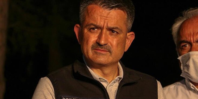 21 ilde çıkan 71 yangının 57'si kontrol altına alındı